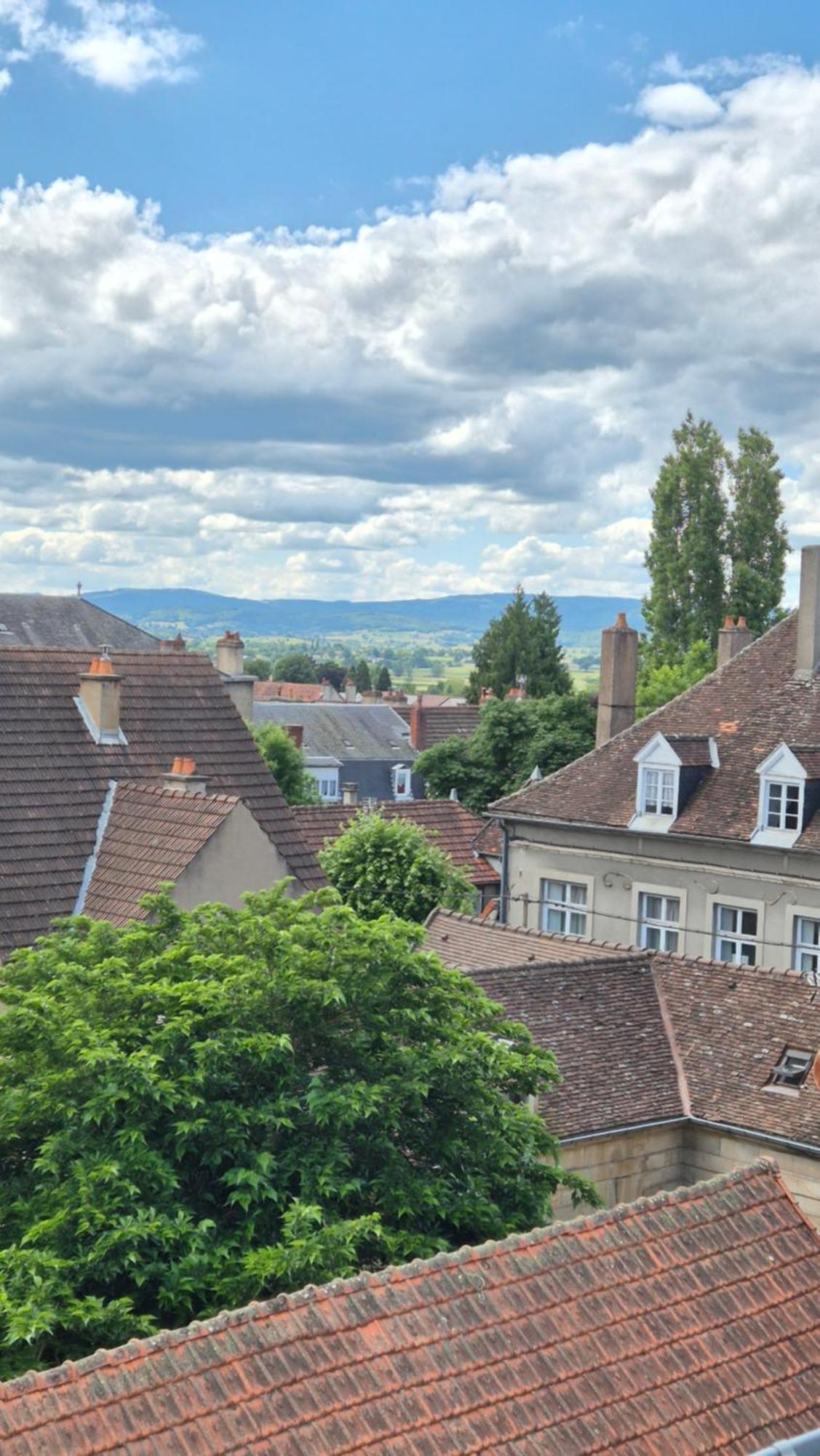 L'Arbre Voyageur Leilighet Autun Eksteriør bilde